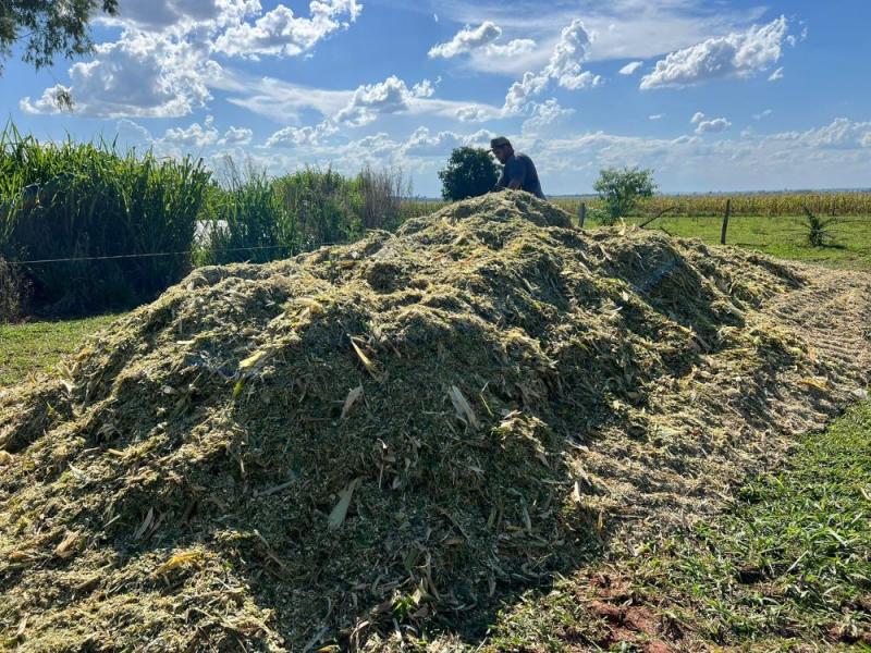 Gestão de Japorã garante apoio às atividades agropecuárias dos produtores tradicionais
