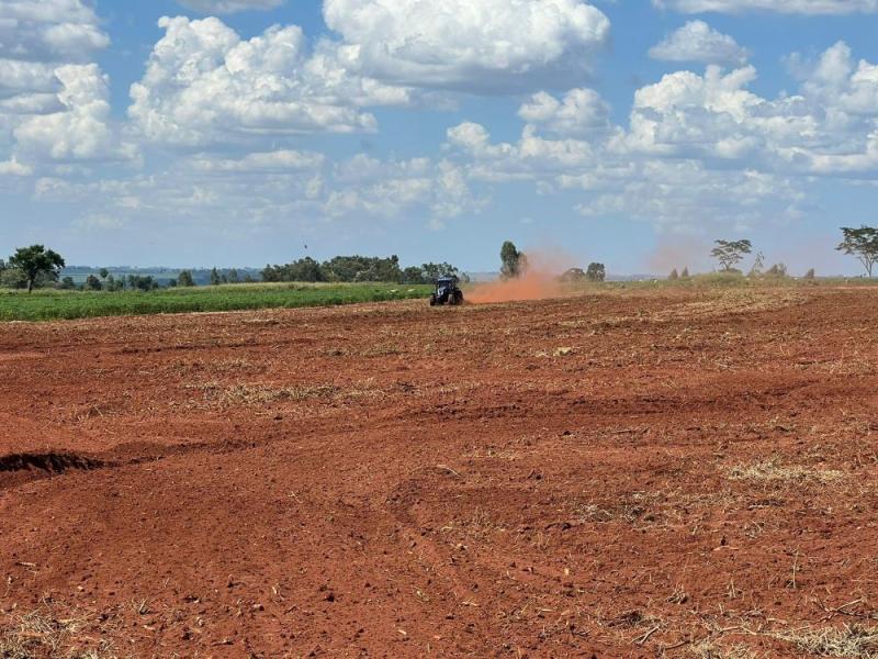 Gestão de Japorã garante apoio às atividades agropecuárias dos produtores tradicionais